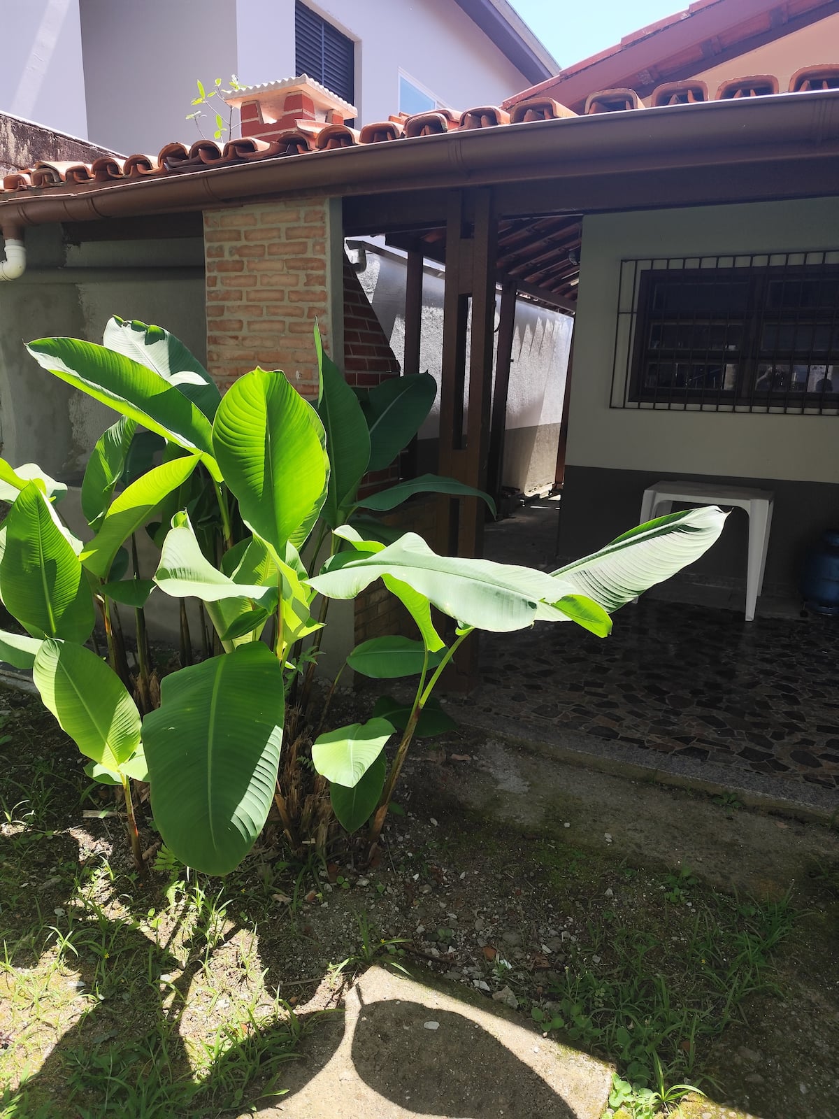 Fotos adicionais