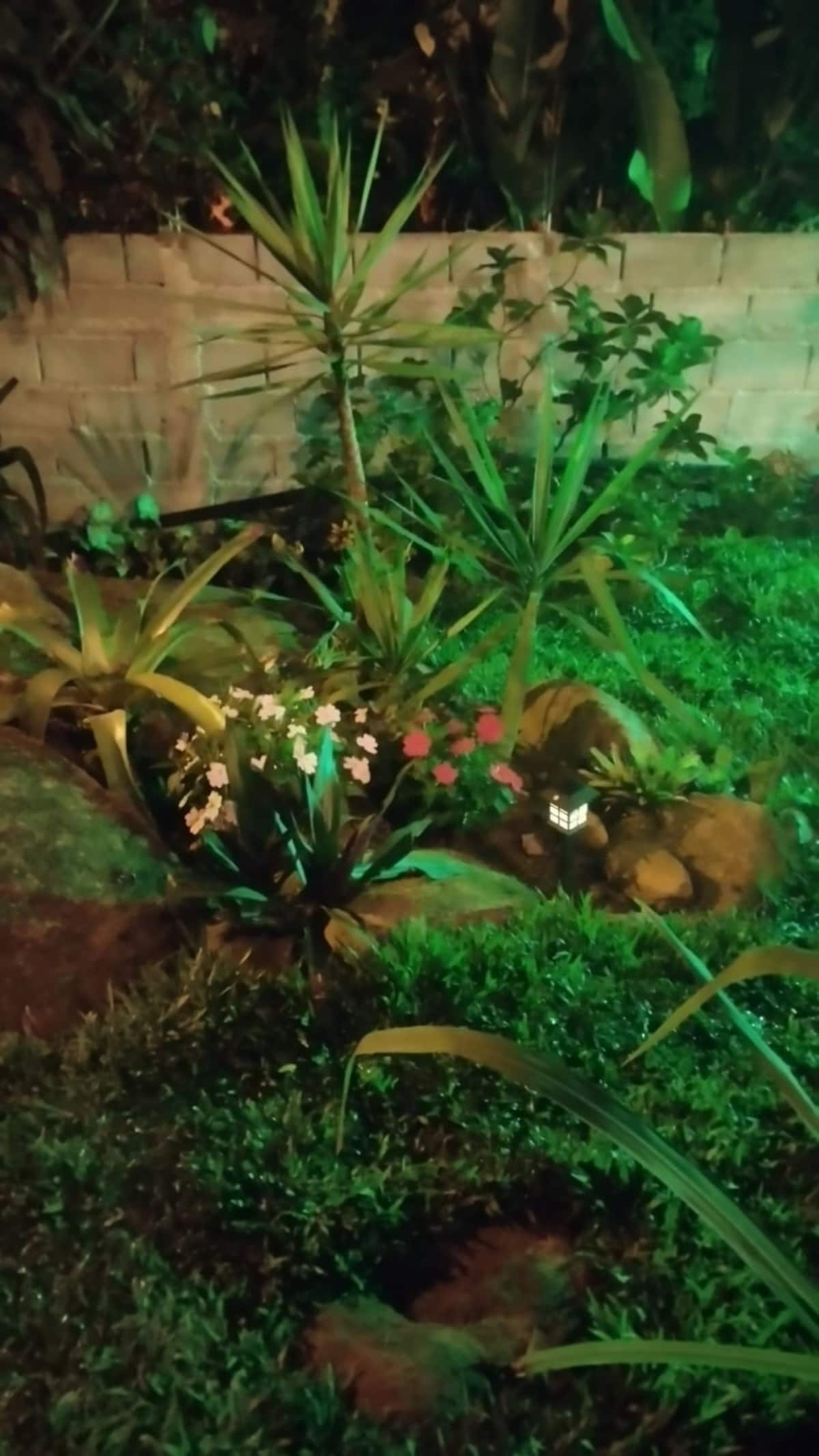 Jardim da frente